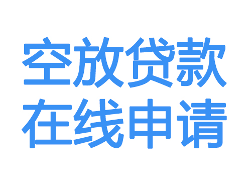 定安空放借款申请